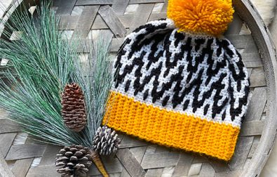 32-crochet-beanie-hats-free-patterns-with-you